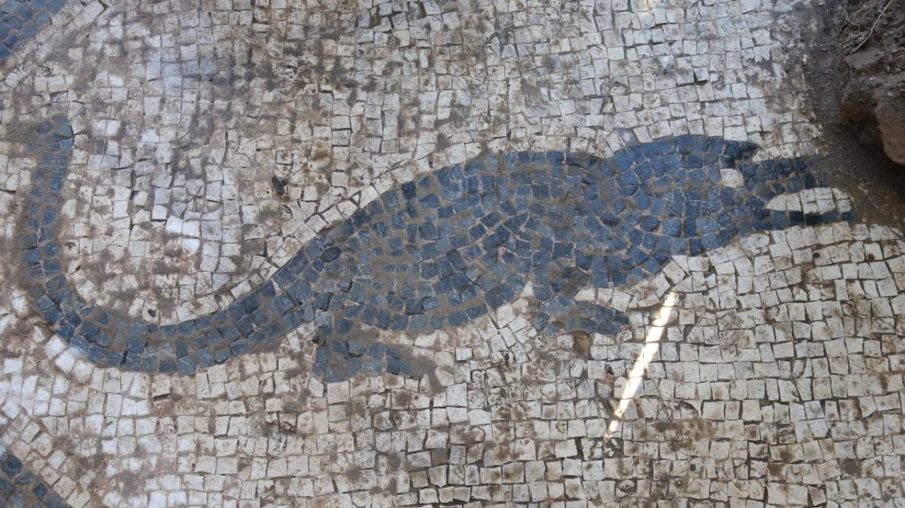 Ancient Roman Bath in Turkey Reveals Stunning Mosaics of Crocodiles, Dolphins, and Flamingos