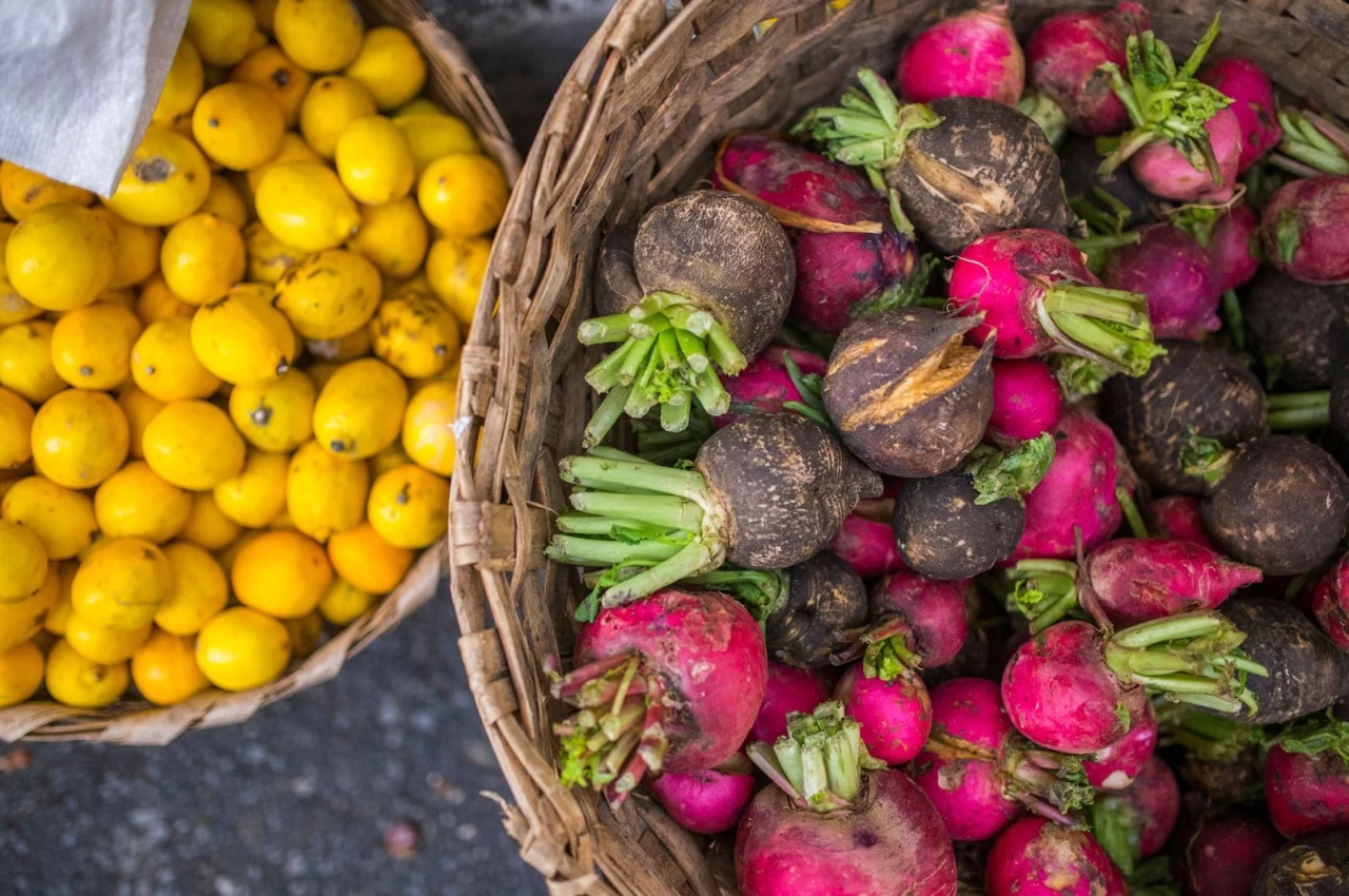 Exploring Istanbul's Ecological Markets: A Vibrant Tradition of Fresh and Organic Produce