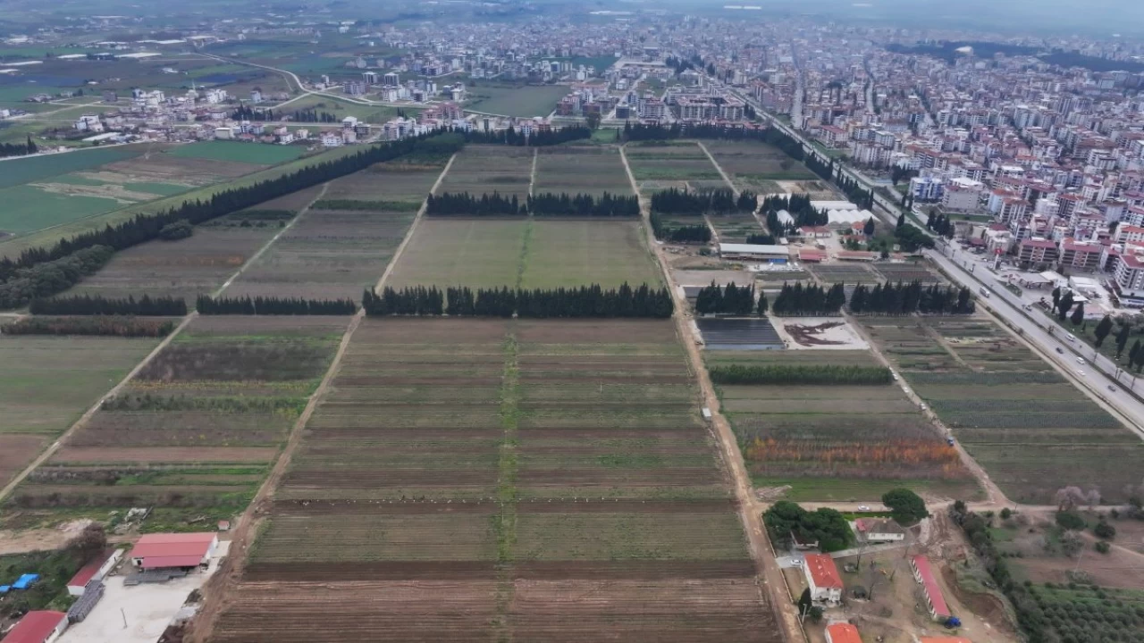 Millions of Saplings Grown in Izmir for a Greener Türkiye: 7 Million Saplings Targeted by 2025