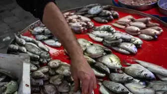 Microplastic alarm in fish in Türkiye's Izmir Gulf