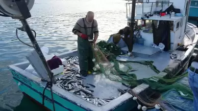 Turkish Fishermen Celebrate Abundant Seas and Record-Breaking Season