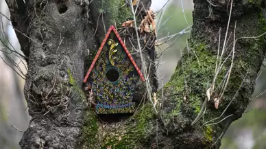 "Compassionate Artist Builds 1,000 Ornate Birdhouses in Public Spaces to Spread Joy and Unity"