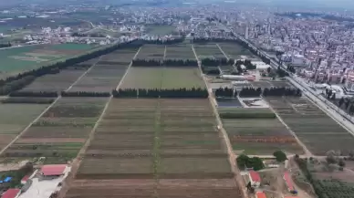 Türkiye’s Torbalı Forest Nursery grows millions of saplings annually