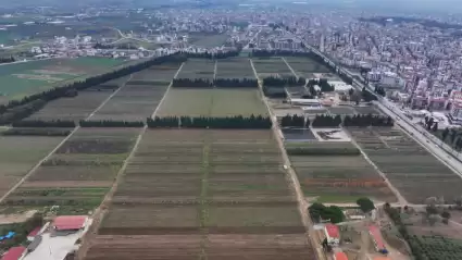 Türkiye’s Torbalı Forest Nursery grows millions of saplings annually