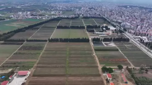 Türkiye’s Torbalı Forest Nursery grows millions of saplings annually