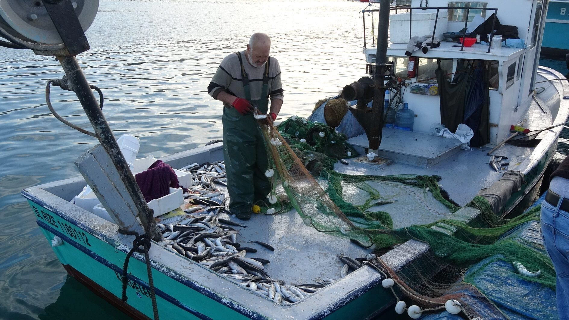 Turkish Fishermen Celebrate Abundant Seas and Record-Breaking Season