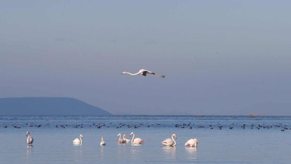 Lake Bafa's Water Level Rebounds with Recent Rainfall, Boosting Biodiversity and Ecosystem Recovery